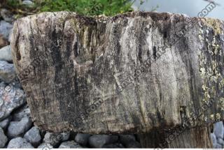 Photo Textures of Wood